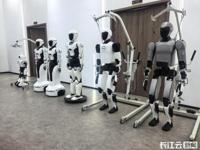 “湖北造”人形机器人有望走进图书馆、医院！场景对接会推动应用落地“加速跑”