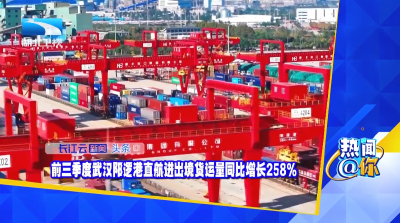 前三季度武汉阳逻港直航进出境货运量同比增长258%