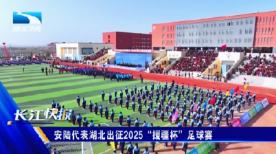 安陆代表湖北出征2025“援疆杯”足球赛