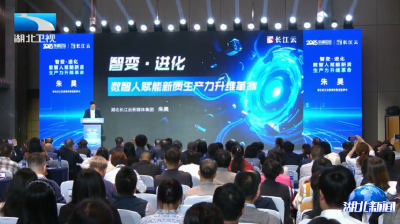 聚焦2025东湖论坛 | 记者观察：“AI+”赋能产业融合