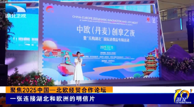 聚焦2025中国—北欧经贸合作论坛 | 一张连接湖北和欧洲的明信片
