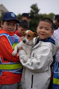 “快被薅秃啦！”少年警队探营警犬基地，“汪汪队”技能满点萌翻天