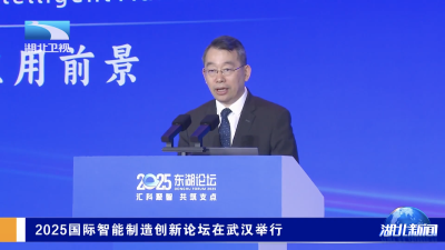 2025国际智能制造创新论坛在武汉举行