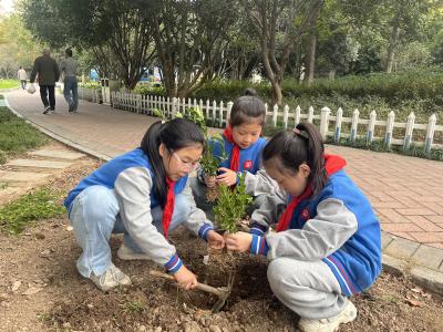 把课堂搬进公园！这堂“自然课”用绿色润童心