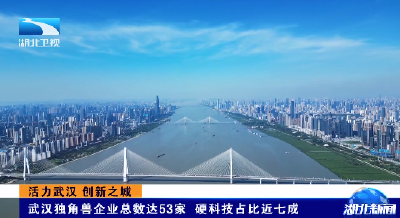 活力武汉 创新之城丨武汉独角兽企业总数达53家 硬科技占比近七成