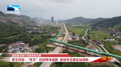 高质量党建引领高质量发展丨黄石阳新：“双百”机制精准破题 推动项目建设加速跑
