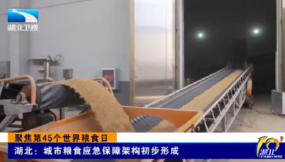 聚焦第45个世界粮食日 |  湖北：城市粮食应急保障架构初步形成