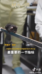 联播一瞬 | 鼠鼠“航天员”要上太空了！