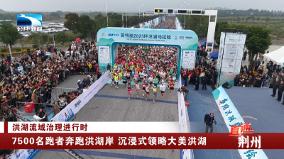 7500名跑者奔跑洪湖岸 沉浸式领略大美洪湖