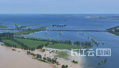 仙桃沙湖湿地：万只候鸟赴“诗与远方”