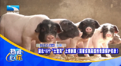 湖北16个“土宝贝”上榜新版《国家级畜禽遗传资源保护名录》