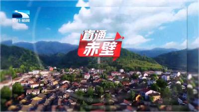 直通赤壁 | 喜迎2025赤壁青砖茶产业发展大会