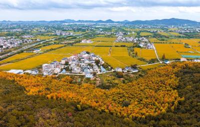 香港路上好六医｜男性的“健康杀手”：读懂肝癌与前列腺癌的防治之道