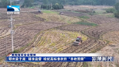 贯彻落实全会精神丨鄂州梁子湖：精准监督  绘就高标准农田“丰收图景”