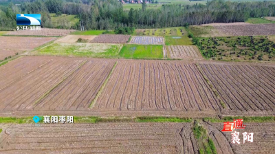 襄阳：农机农技硬核发力 全力护航秋播秋种