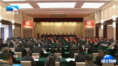 湖北省见义勇为英雄先进表彰大会举行