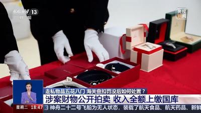 一个集装箱竟查出十几种走私物品 这些入境坑千万别踩