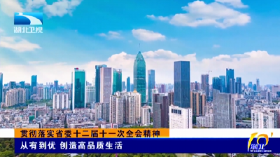 贯彻落实省委十二届十一次全会精神 | 从有到优 创造高品质生活