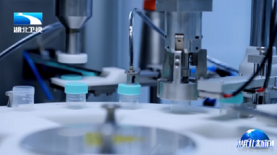 2025年11月6日湖北新闻