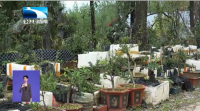 廖兆龙：拐杖撑起致富路 匠心酿就新生机