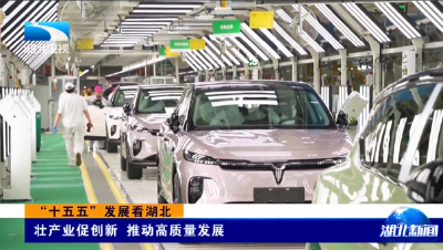 “十五五”发展看湖北 | 壮产业促创新 推动高质量发展