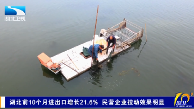 湖北前10个月进出口增长21.6% 民营企业拉动效果明显