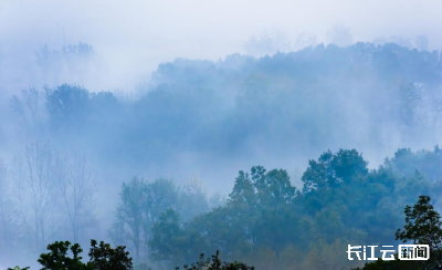 湖北南漳：乡村晨雾胜景如画