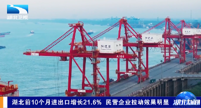 湖北前10个月进出口增长21.6% 民营企业拉动效果明显