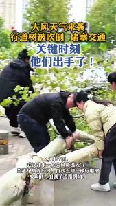 狂风吹倒大树，但吹不倒人心