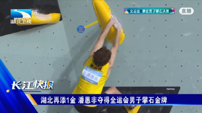 湖北再添1金 潘愚非夺得全运会男子攀石金牌