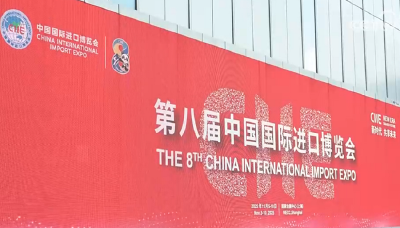 进博会开幕在即 469家武汉企业组团赴沪觅商机