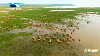 2025年11月23日长江新闻