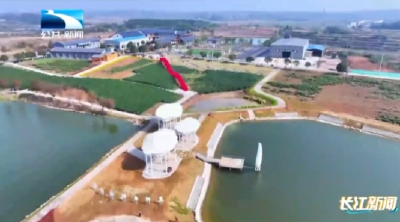 孝感安陆：从“卖茶叶”到“享生活” 茶旅融合激活乡村振兴“一池春水”