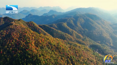 观秋色 摘秋果 湖北各地秋意浓