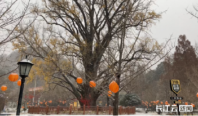 昨赏秋色今赏雪 随州一秒“变装”