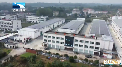 襄阳谷城：秋粮入库进行时 粮食仓储“智”提升