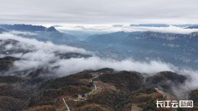 “中彩”资金赋能湖北革命老区 绘就乡村振兴新图景