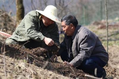 《人民日报》追记“断指扶贫”书记罗官章：把一生奉献给土地和乡亲