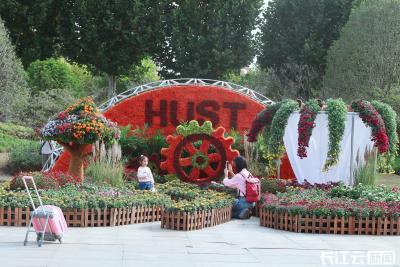 金菊映江城，满园皆诗意 洪山区菊展武汉站正式启幕