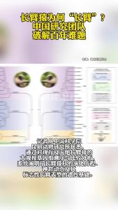 长臂猿为何“长臂”？中国研究团队破解百年难题