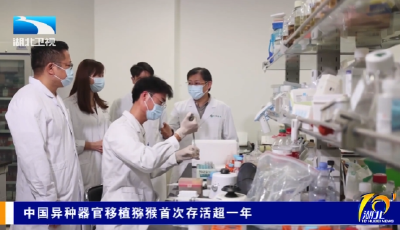 中国异种器官移植猕猴首次存活超一年