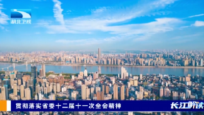 贯彻落实省委十二届十一次全会精神 | 强内拓外 推进高水平开放