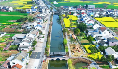 荆州：清洁家园！宜居乡村从“面子”美到“里子”