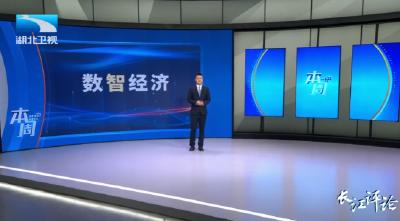 长江评论·本周 | 从“数字”向“数智”迭代