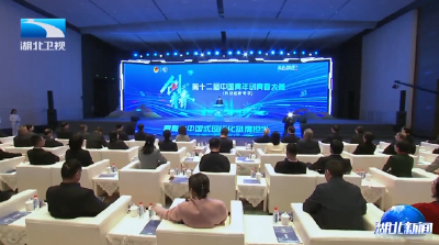 第十二届中国青年创青春大赛（科技创新专项）颁奖仪式举行 诸葛宇杰出席并致辞