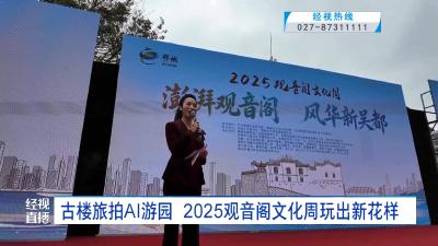 古楼旅拍AI游园 2025观音阁文化周玩出新花样