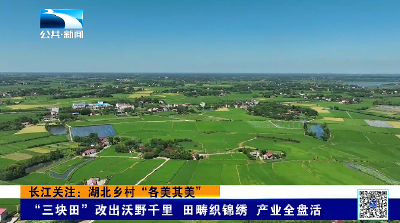 长江关注：湖北乡村“各美其美”