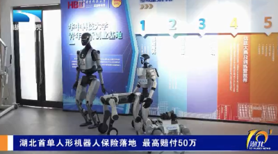 湖北首单人形机器人保险落地 最高赔付50万