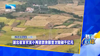 湖北省支农支小再贷款余额首次突破千亿元