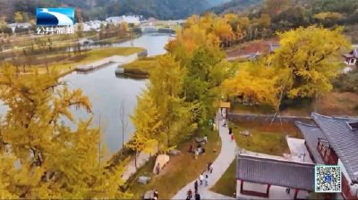 中外嘉宾齐聚 解锁随州多面魅力